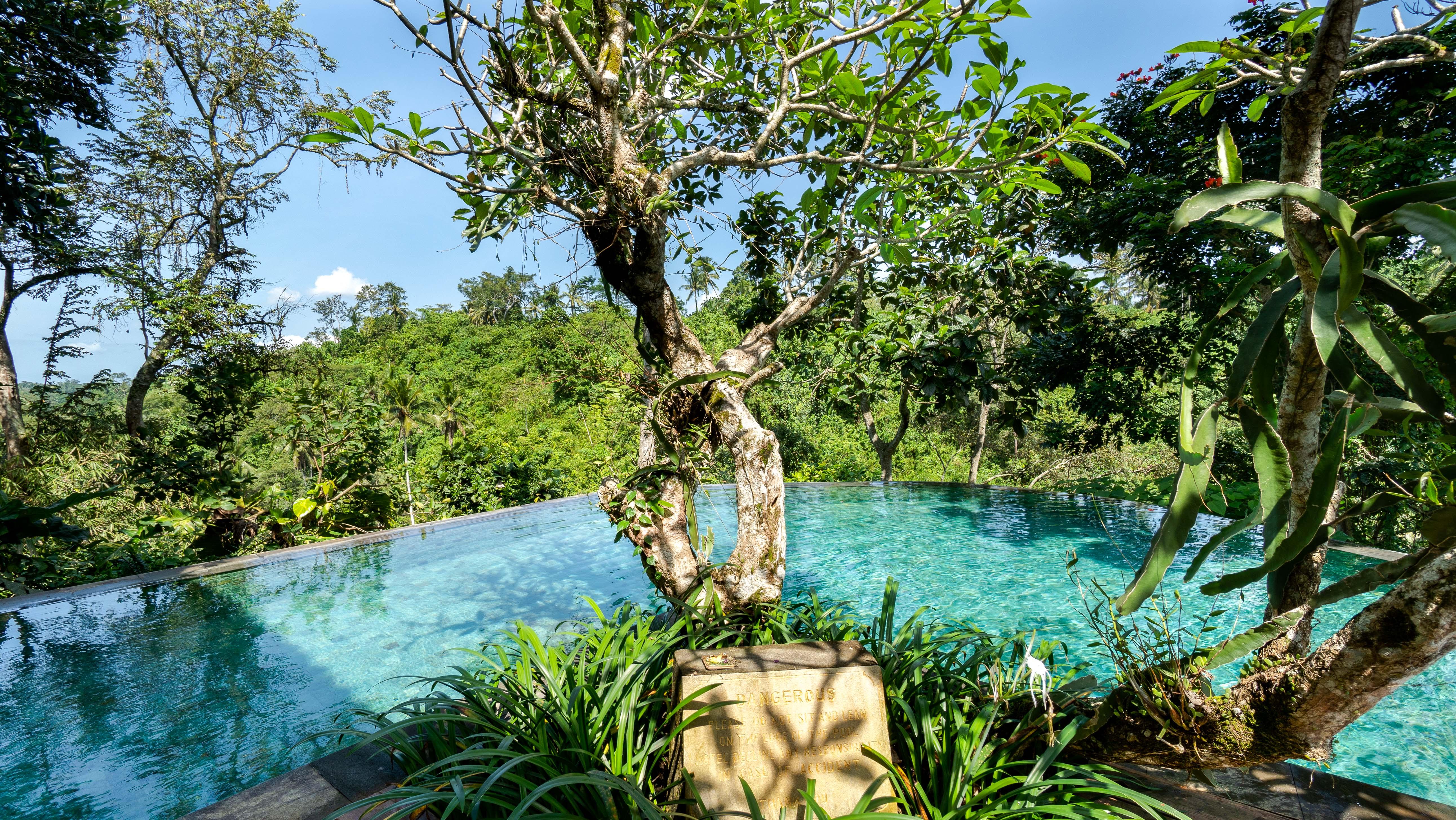 Natura Villa Ubud Esterno foto