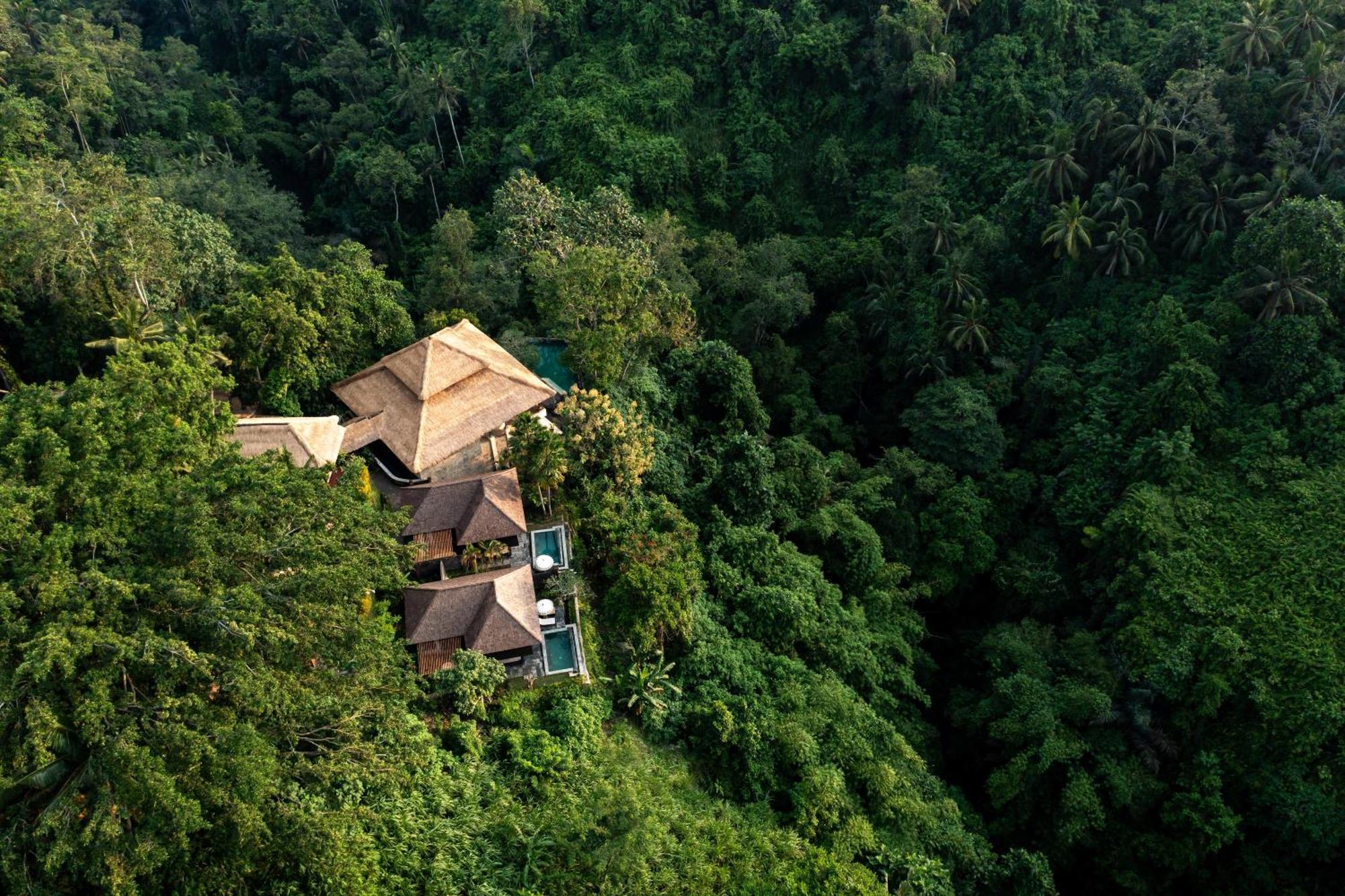 Natura Villa Ubud Esterno foto