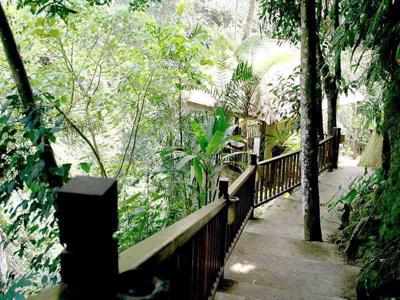 Natura Villa Ubud Esterno foto